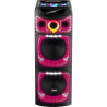 ALTAVOZ BLUETOOTH A BATERIA USB ELCO PDT2124 220W